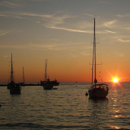 Tamaris, 600 M From The Beach Novigrad Istria Exterior foto