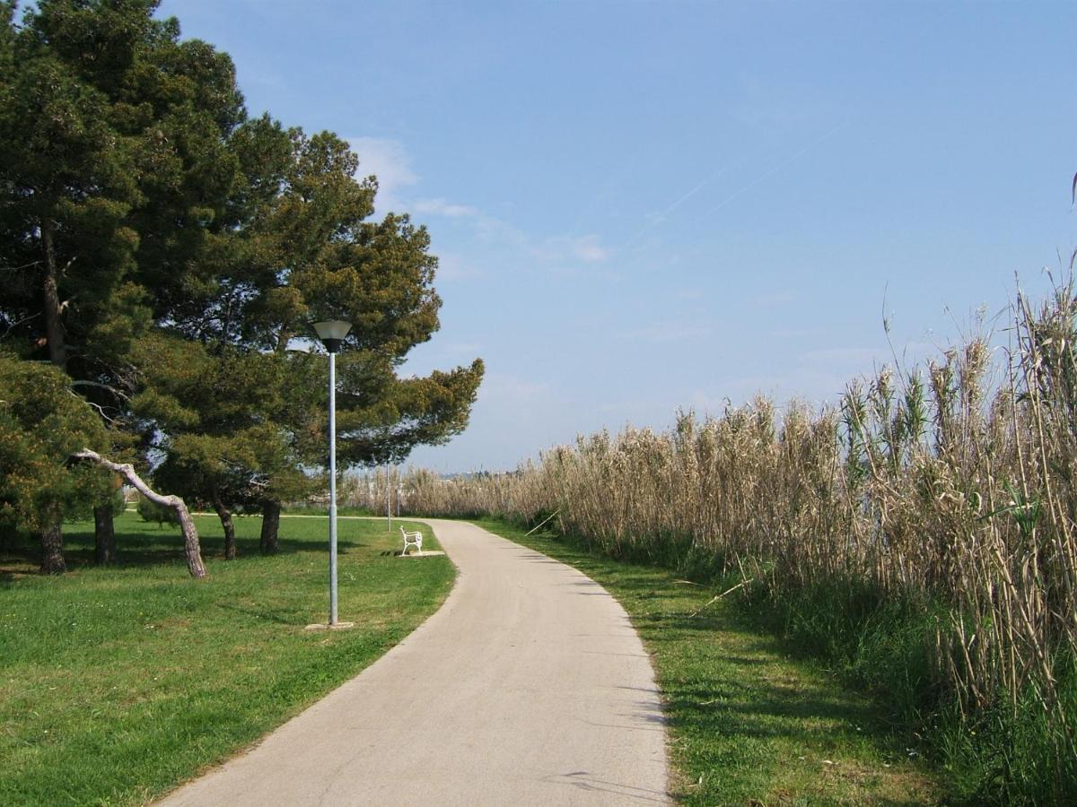 Tamaris, 600 M From The Beach Novigrad Istria Exterior foto